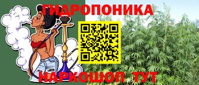 mdpv Краснознаменск