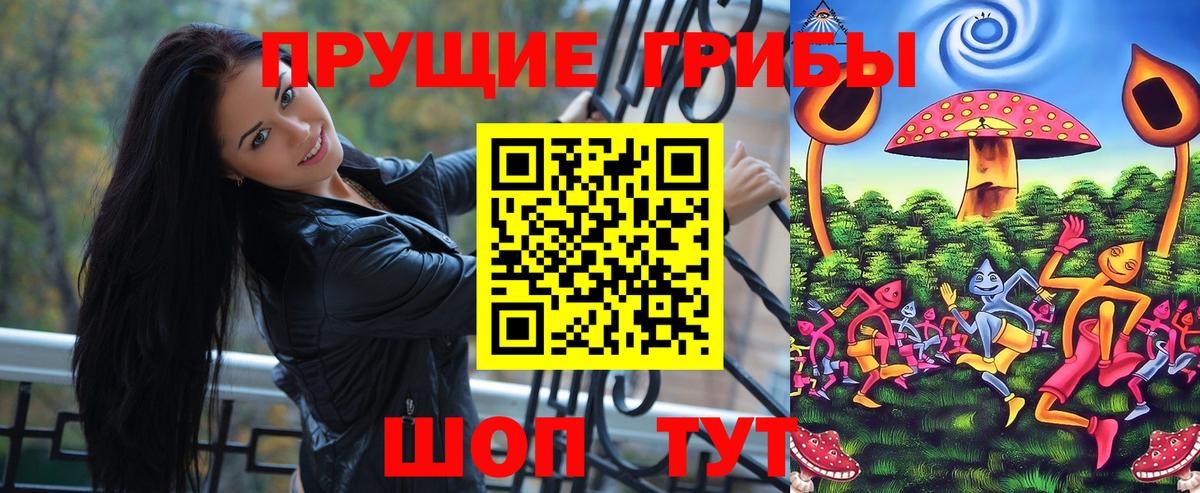 Галлюциногенные грибы Psilocybe Семёнов
