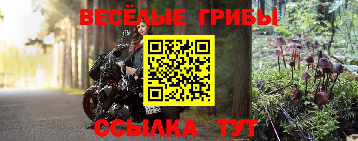 Галлюциногенные грибы Psilocybe  Вход с VPN  Семёнов 